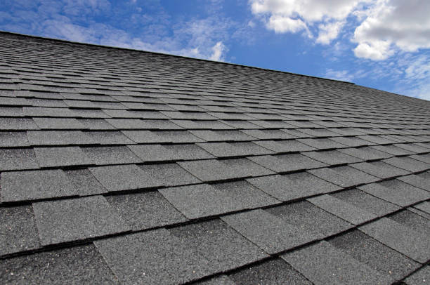 Best Roof Insulation Installation  in Victor, ID