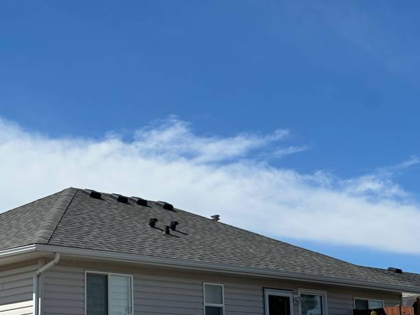 Best Roof Moss and Algae Removal  in Victor, ID